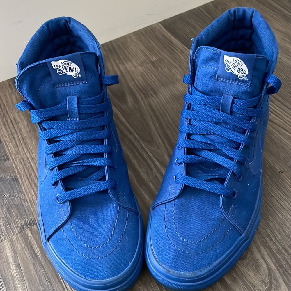 Vans SK8 Hightop Shoes